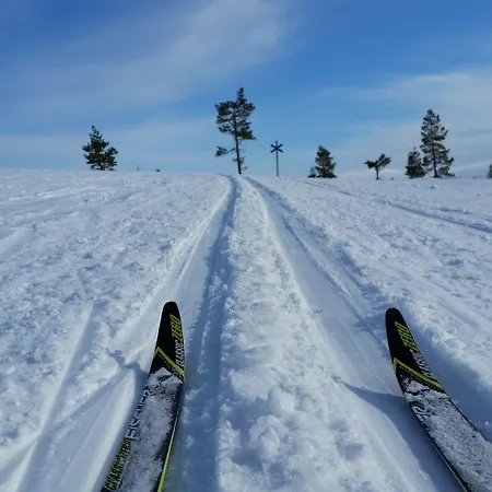 Northern Lights Village Resort Levi