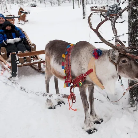 Northern Lights Village