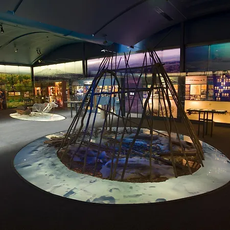 Semesteranläggning (resort) Northern Lights Village Levi