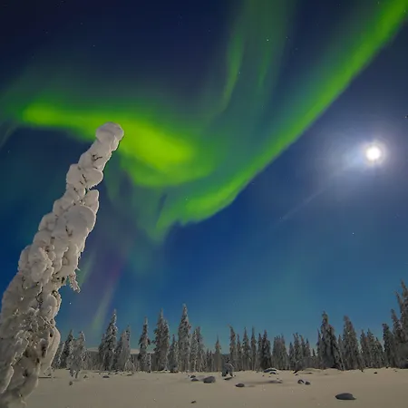 リゾート Northern Lights Village