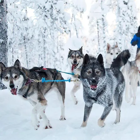 Resort Northern Lights Village