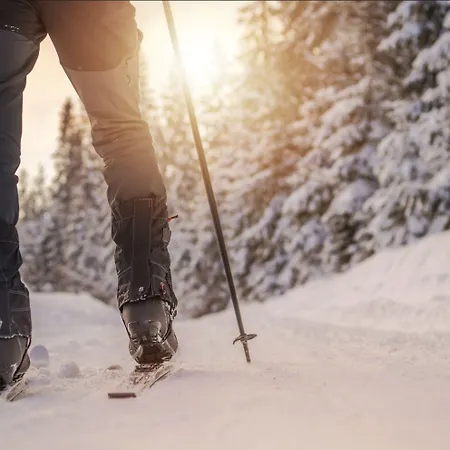 Northern Lights Village 4*