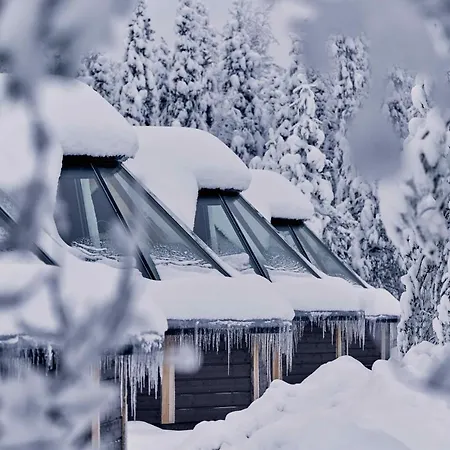 Northern Lights Village レヴィ