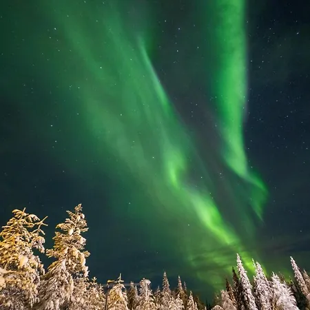 リゾート Northern Lights Village 4*