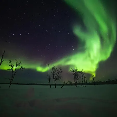 Northern Lights Village レヴィ