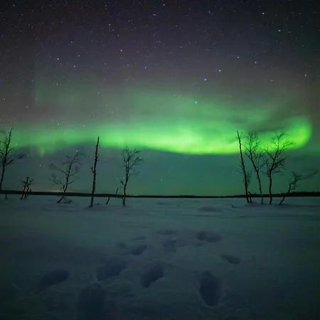 Northern Lights Village リゾート 4*