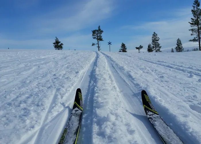 Northern Lights Village Resort Levi