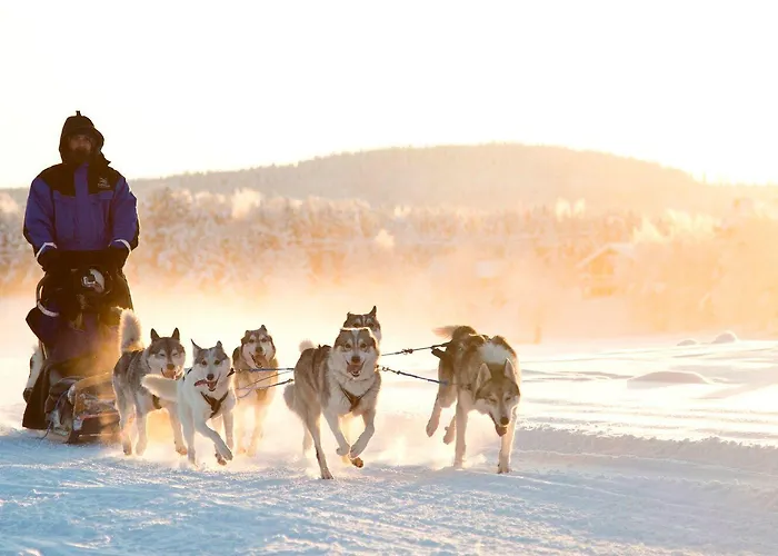 Northern Lights Village Üdülőközpont