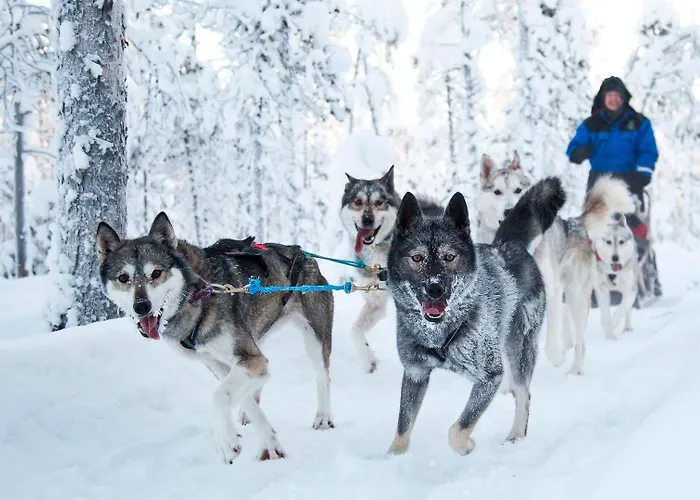 Resort Northern Lights Village