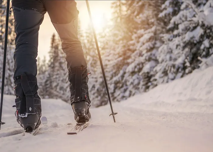 Northern Lights Village 4*